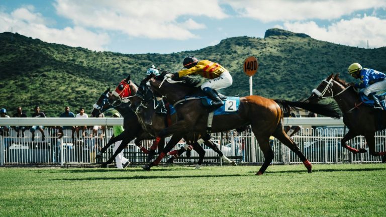 Betting on Horse Racing vs. Other Forms of Gambling: A Beginner’s Guide