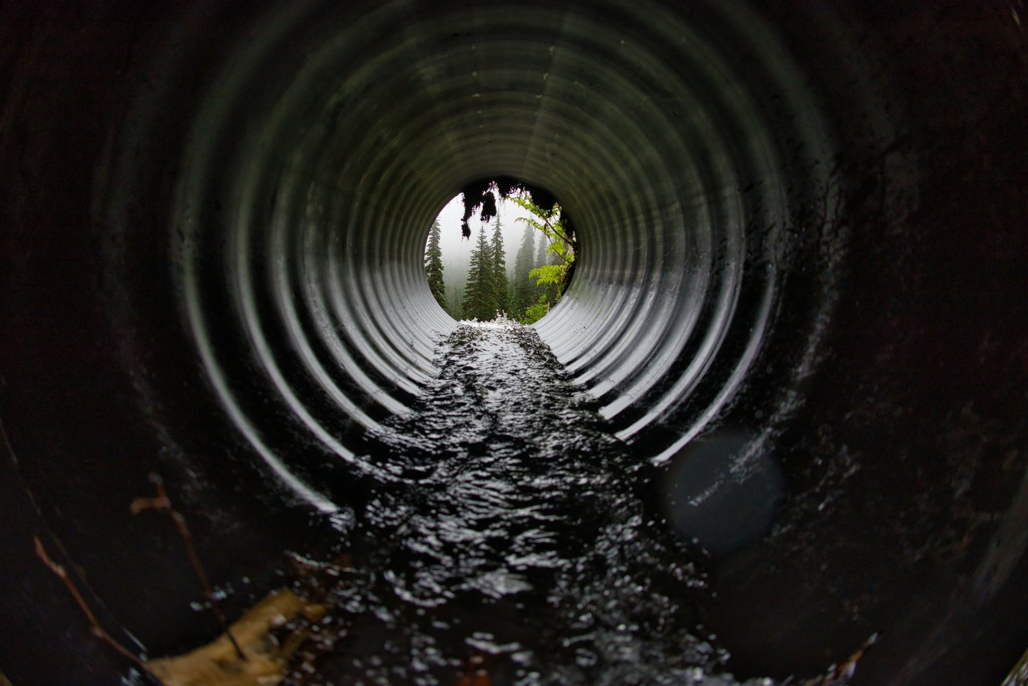 Are Trenchless Sewer Repairs Popular for Plumbing in San Diego?