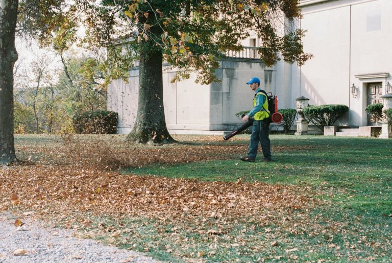 Keeping Structures Safe: The Overlooked Essentials in Property Maintenance