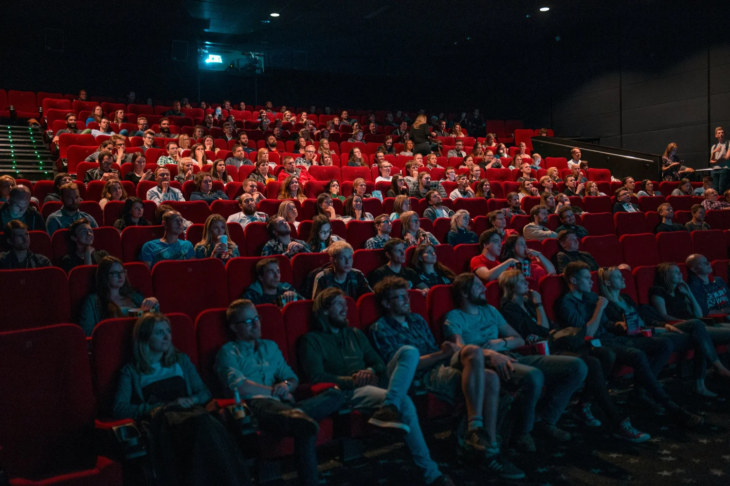 Elevated Evenings: Where Wellness Meets the Silver Screen