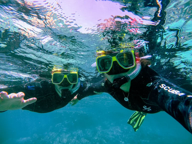 Discover the Magic of the Deep with Organized Snorkeling Tours