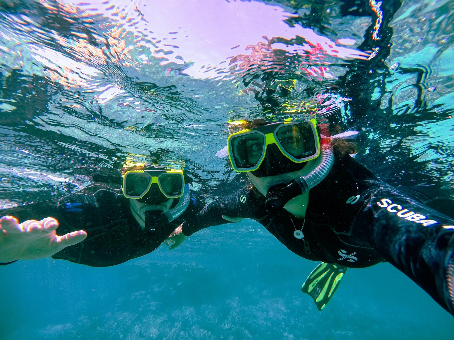 Discover the Magic of the Deep with Organized Snorkeling Tours