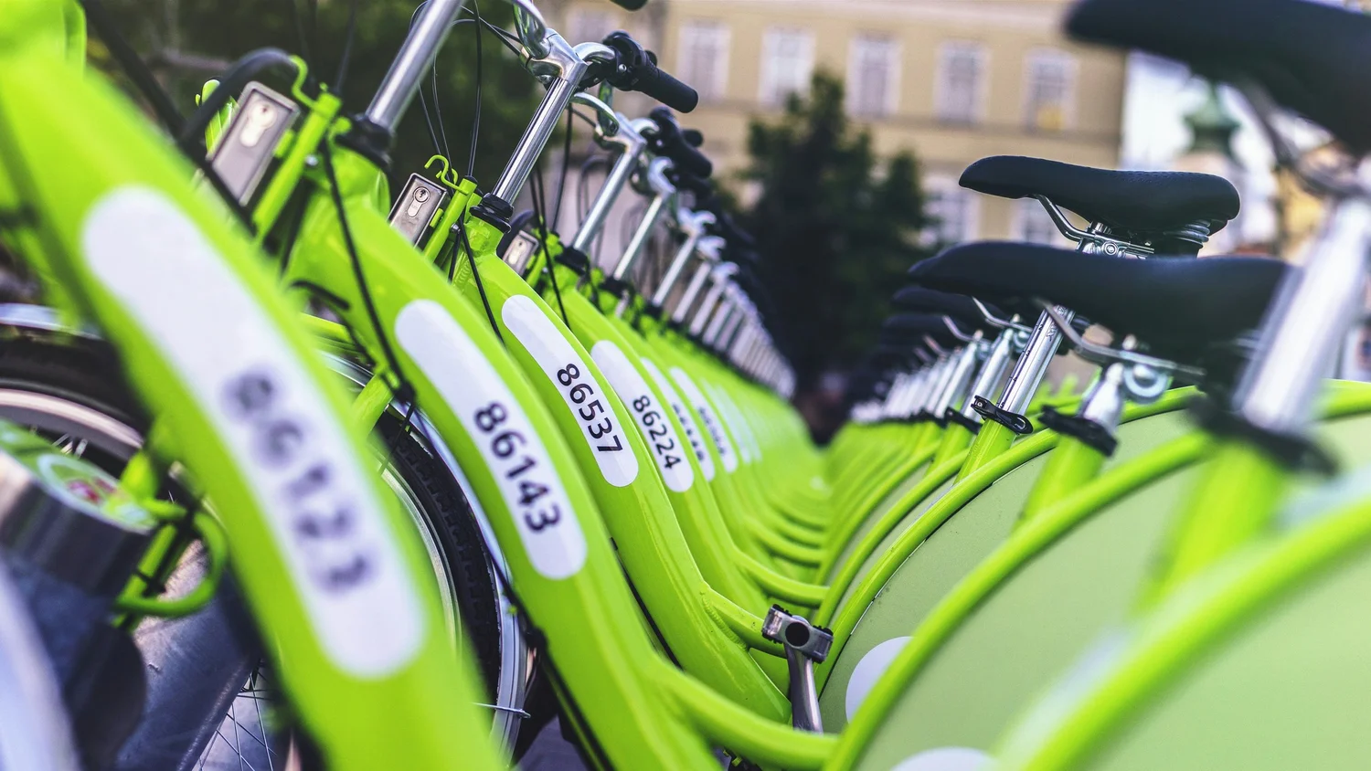 Two Wheels, Endless Exploration: Top Bike Rental Services