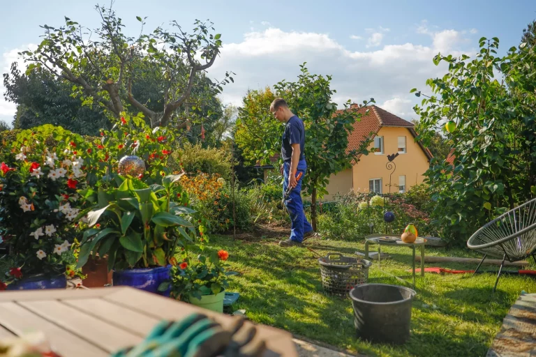 Why Garden Maintenance Matters for Long-Term Film Sets