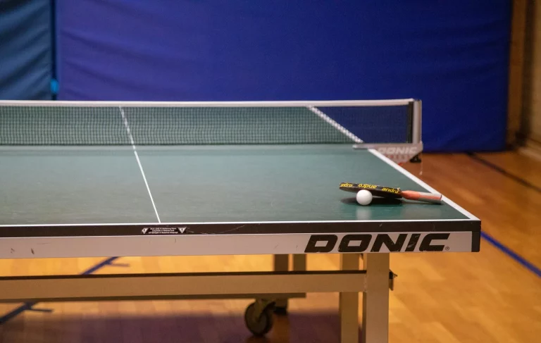 INFOGRAPHIC: Timothée Chalamet Sees Follower Surge After “Marty Supreme”