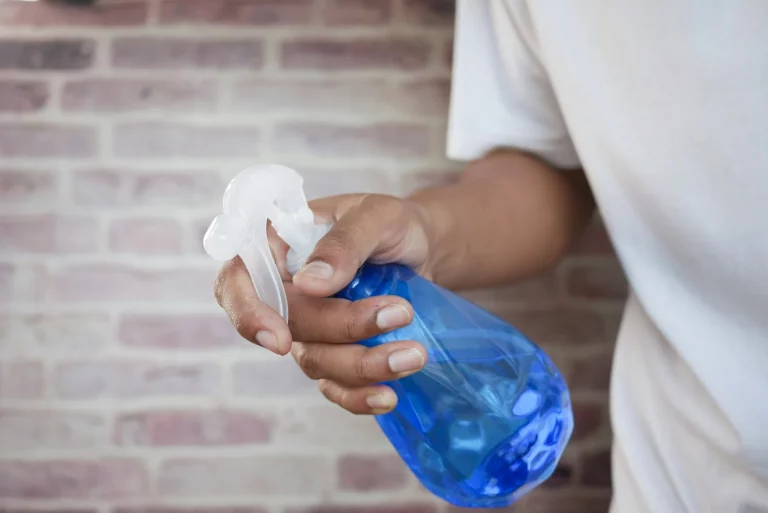 Companion Care vs. Personal Care: What Homewatch CareGivers Offers
