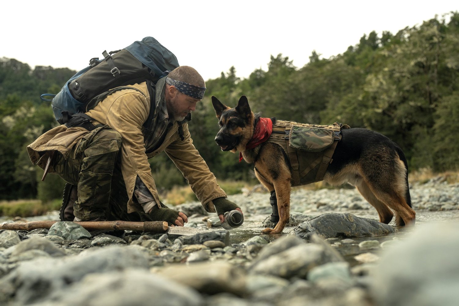 MOVIE REVIEW: Heart of the Beast