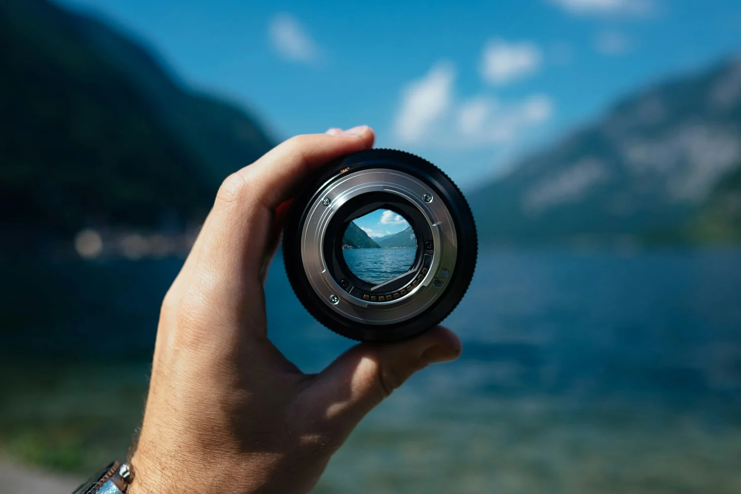 What Movies Can Teach Us About Strategy, Choices, and Digital Entertainment